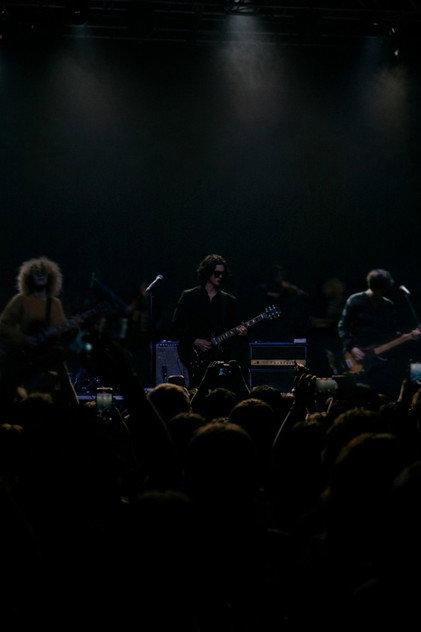 TheVeilers