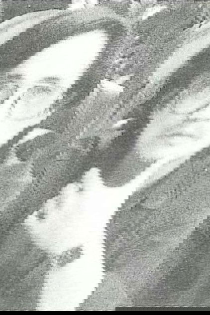 Nguyễn Trịnh Thái