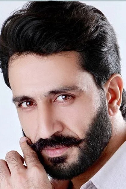Image of Mir Sarwar