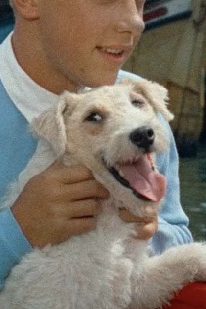 Milo photo 2