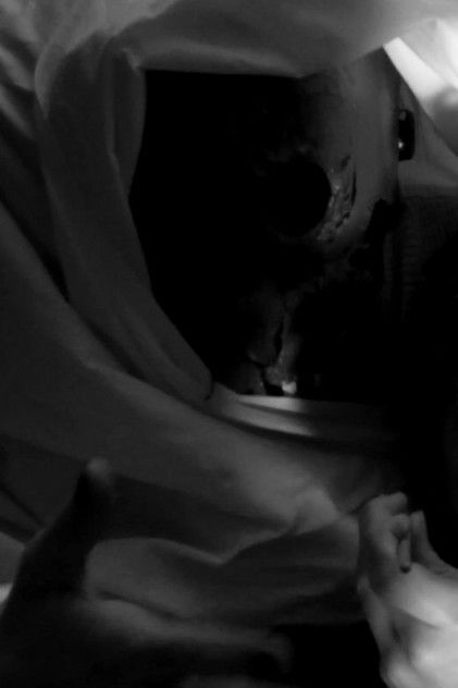 Foto Almantas Šadžius