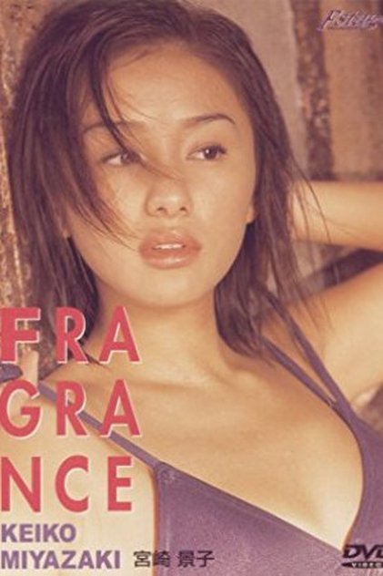 宮崎景子 宮崎景子