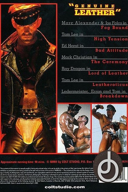 Аватар персоны Ray Dragon