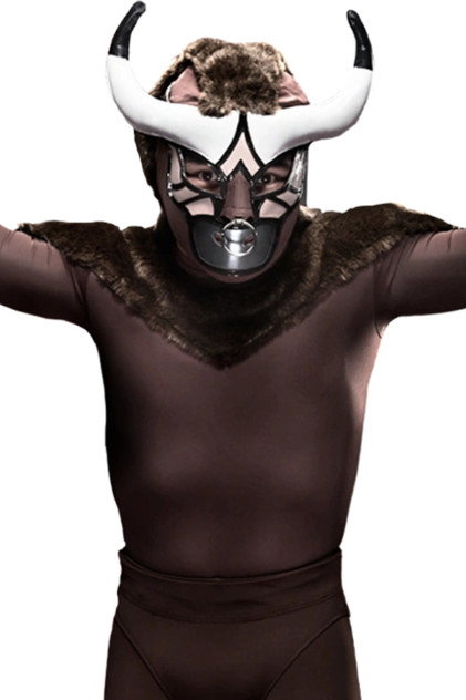 Mascarita Dorada photo 2