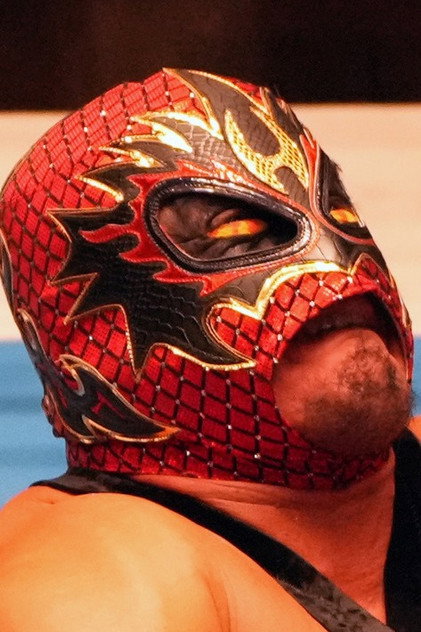Hechicero photo 3