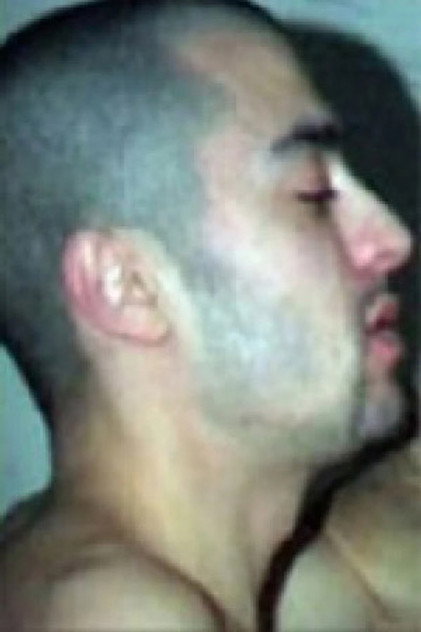 Kamel photo 2