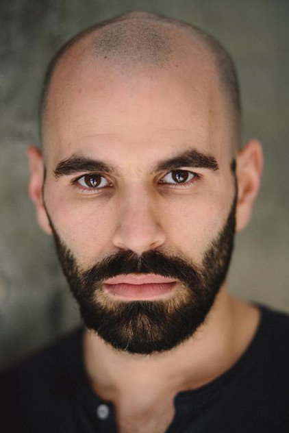 Dimitri Meskouris photo 2
