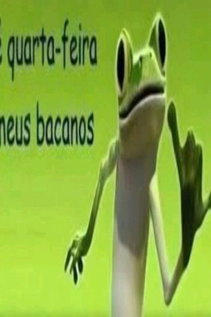 Helicópteros do forro
