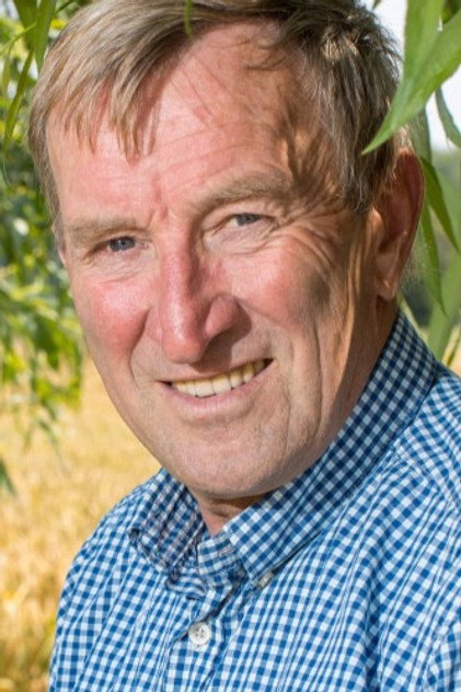 Ferdi Van Den Haute