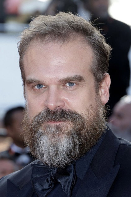 David Harbour - 9