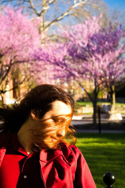 Аватар персоны William Gorecki