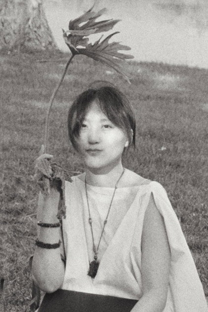 an-li dīng