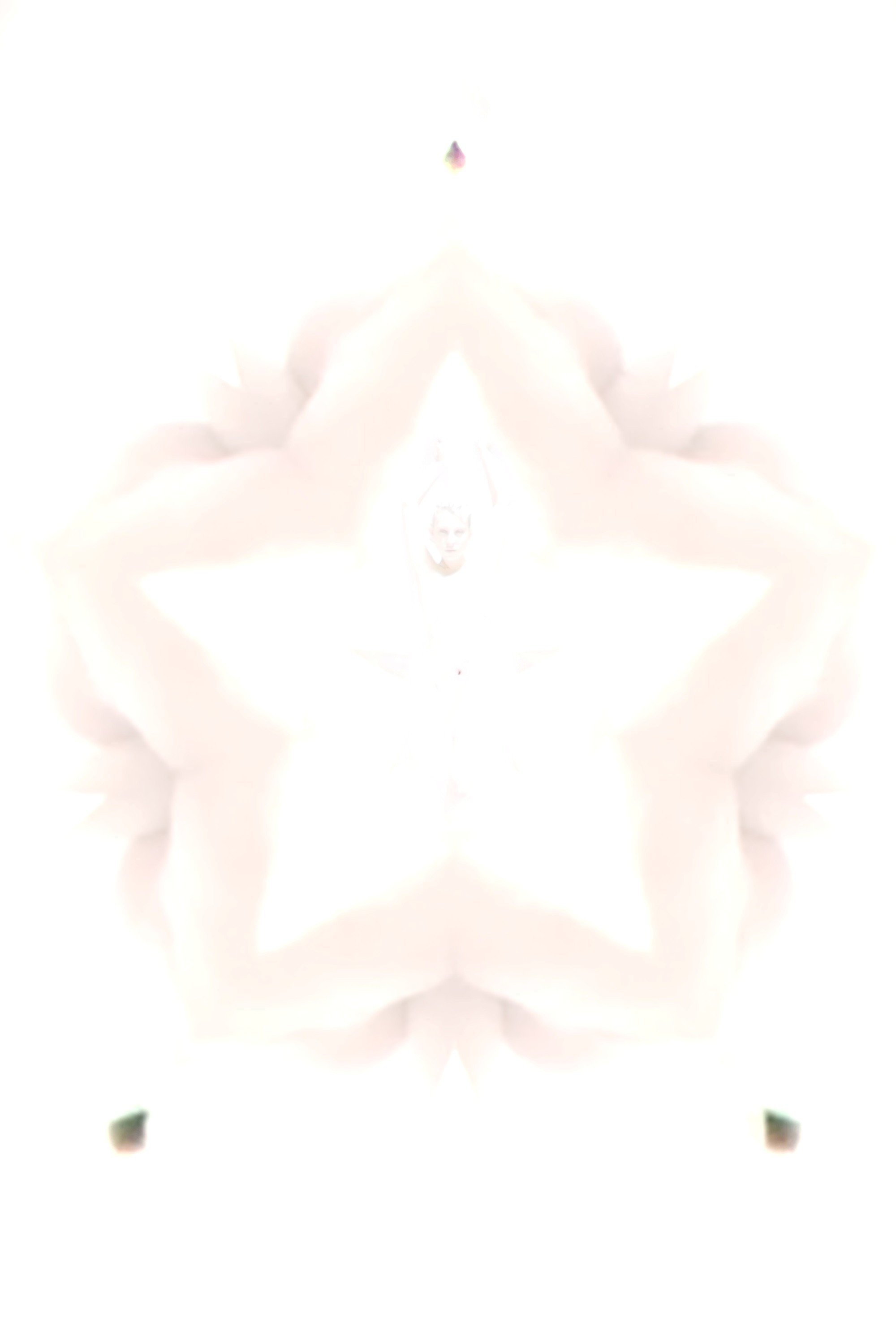 Flower of Flesh, Celestial Body poster