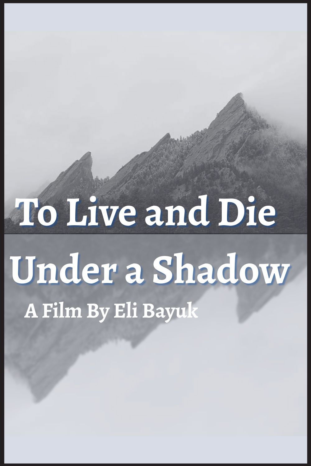 To Live and Die Under a Shadow poster