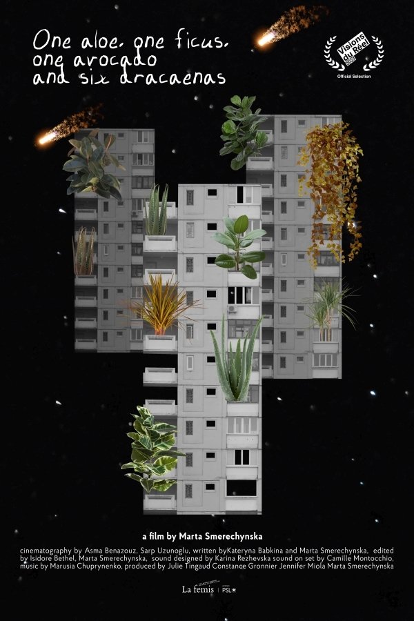 One Aloe, One Ficus, One Avocado and Six Dracaenas poster