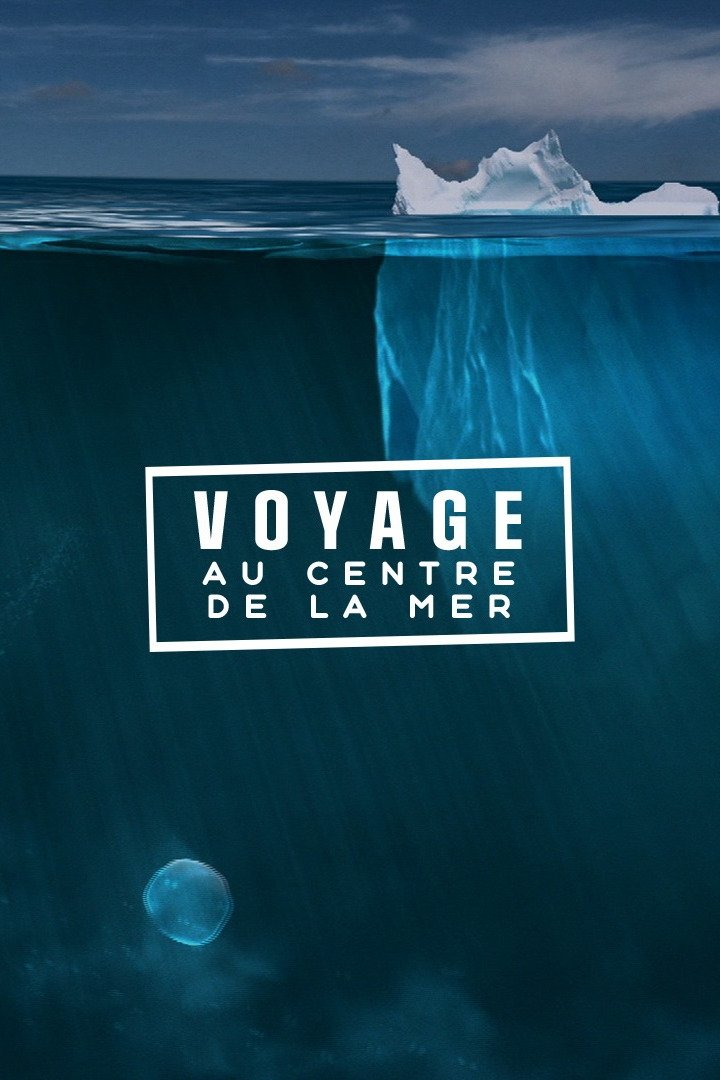 Voyage au centre de la mer poster