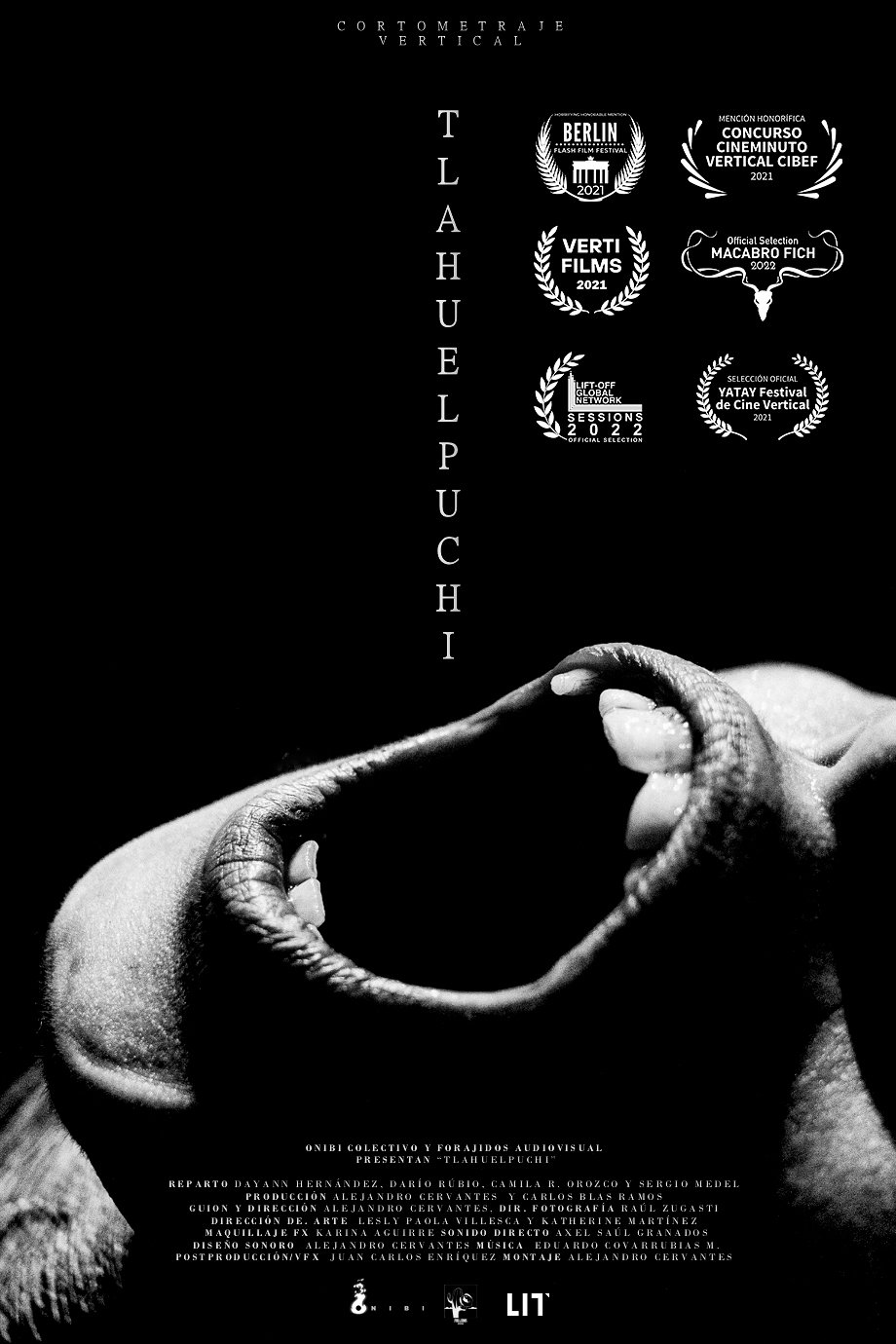 Tlahuelpuchi poster