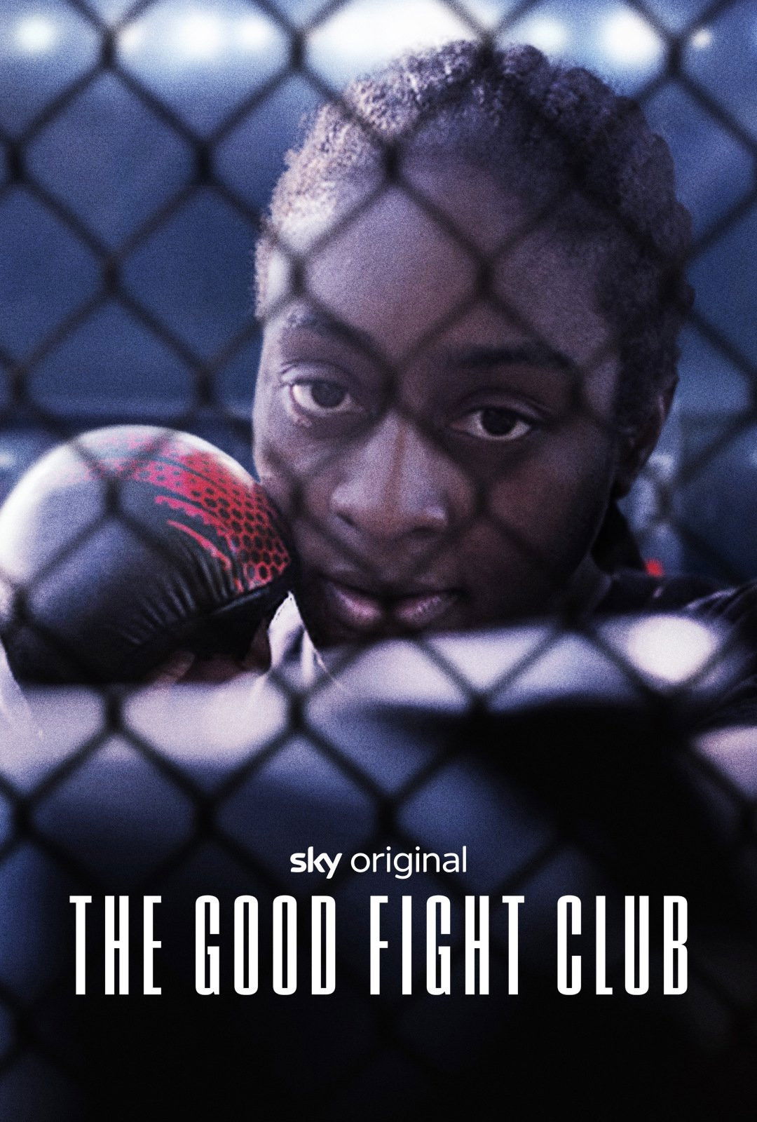 The Good Fight Club poster