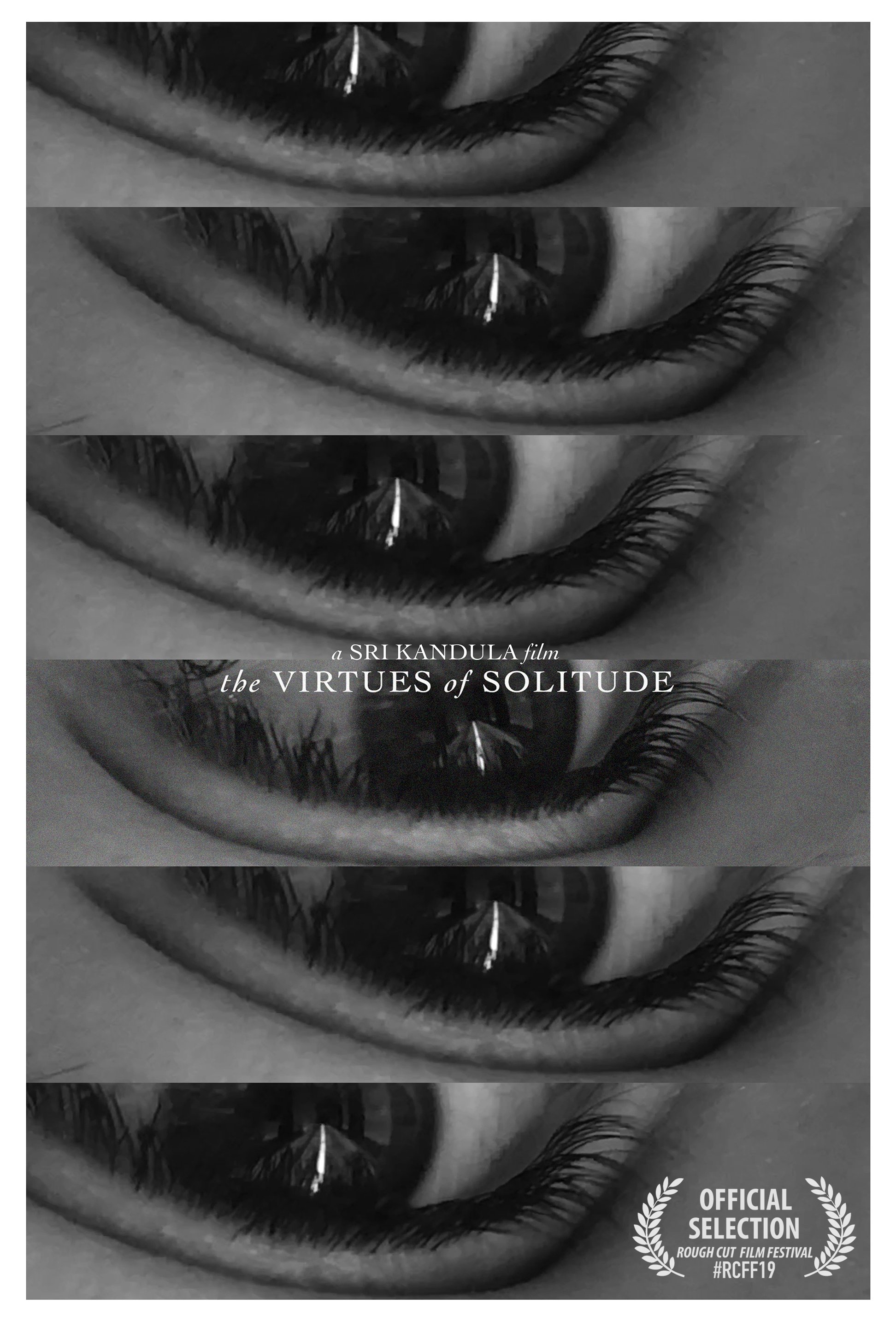 The Virtues of Solitude poster