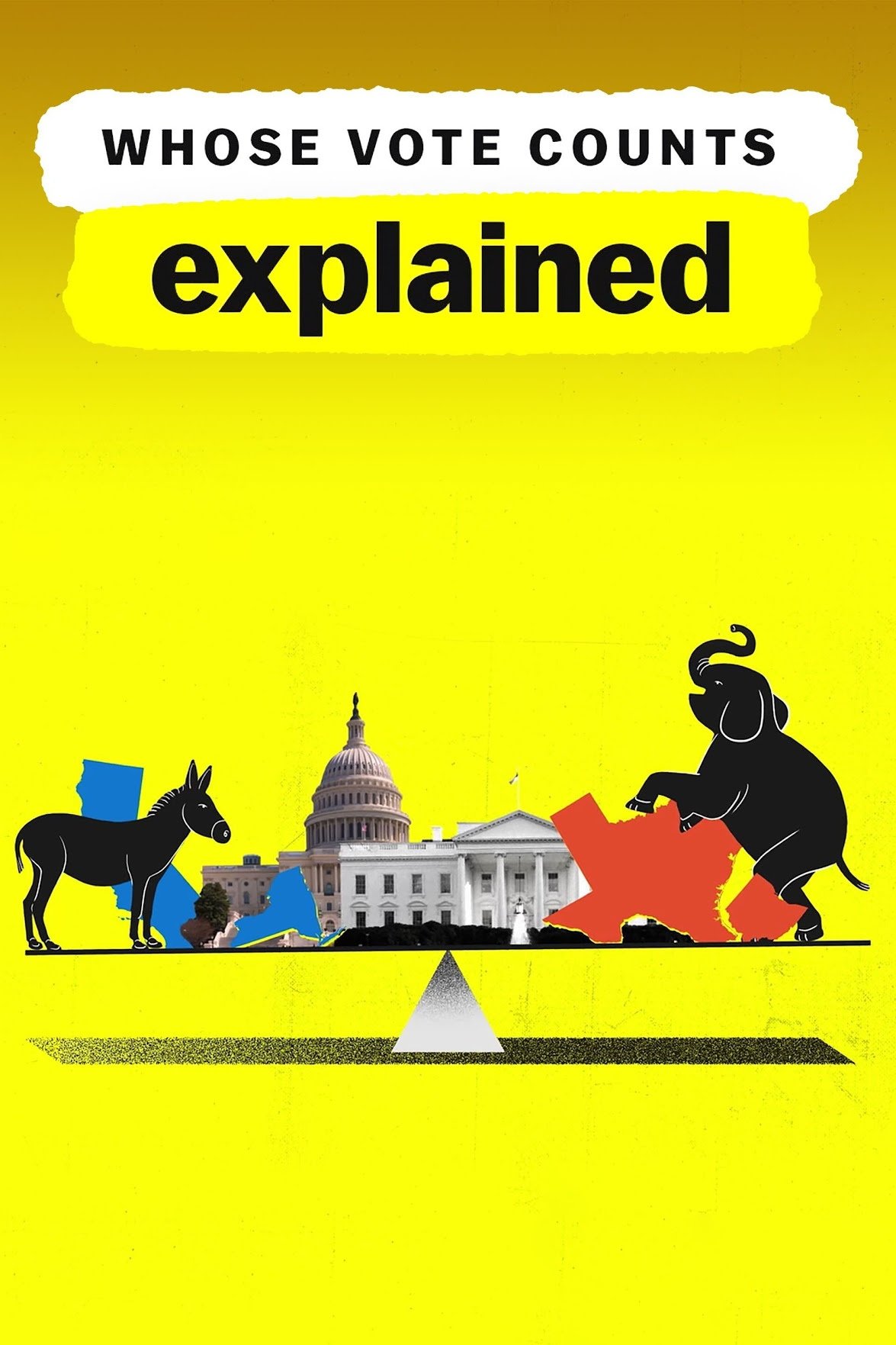 Whose Vote Counts, Explained poster