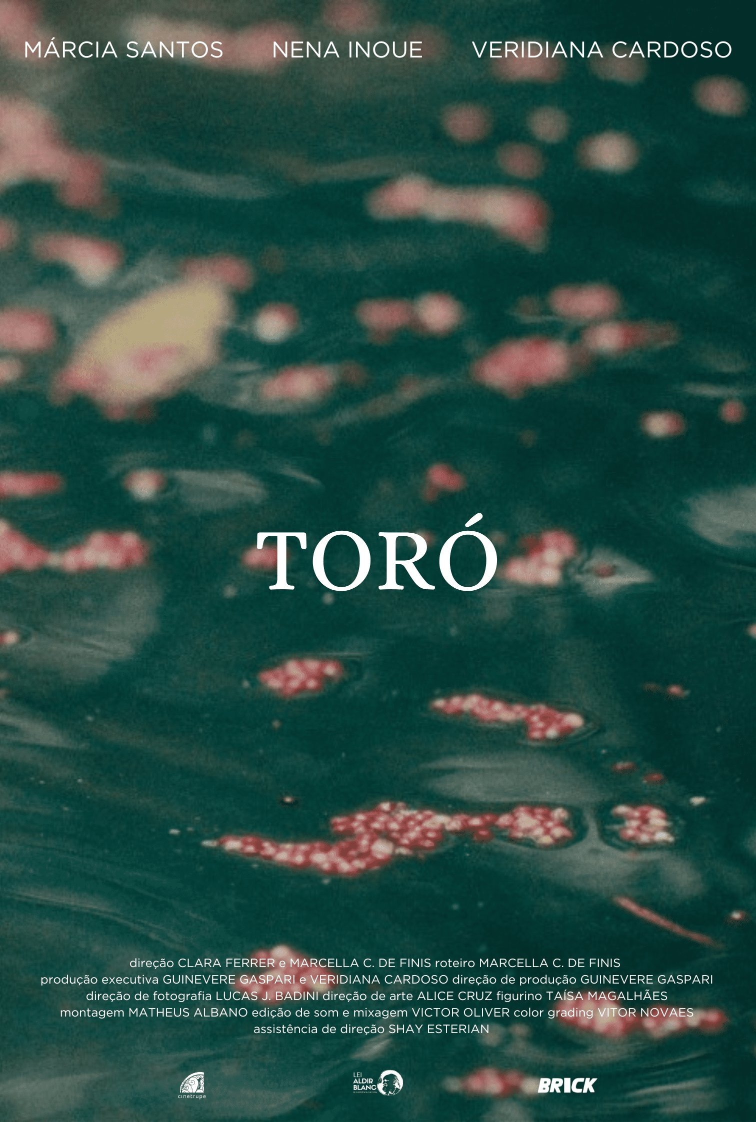Toró poster