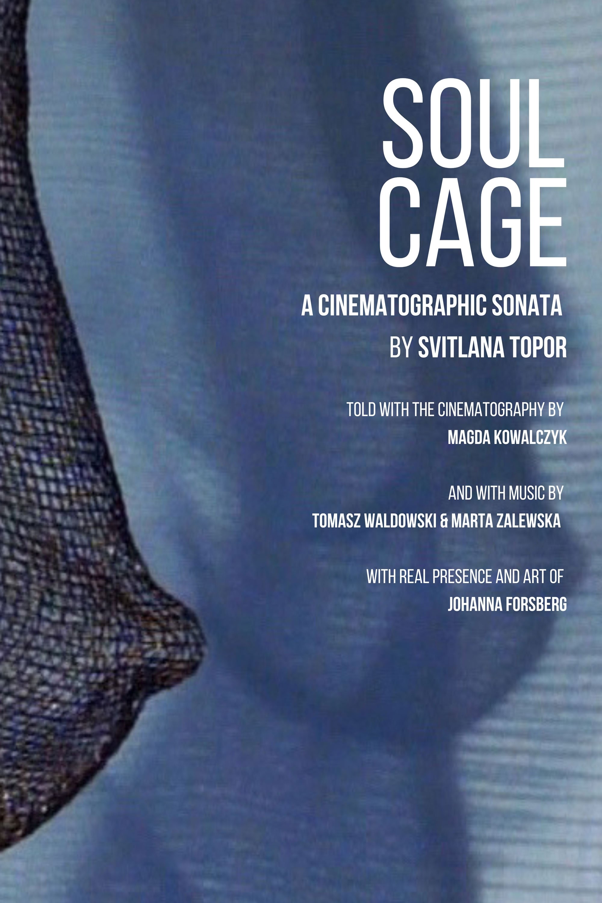 Soul Cage poster