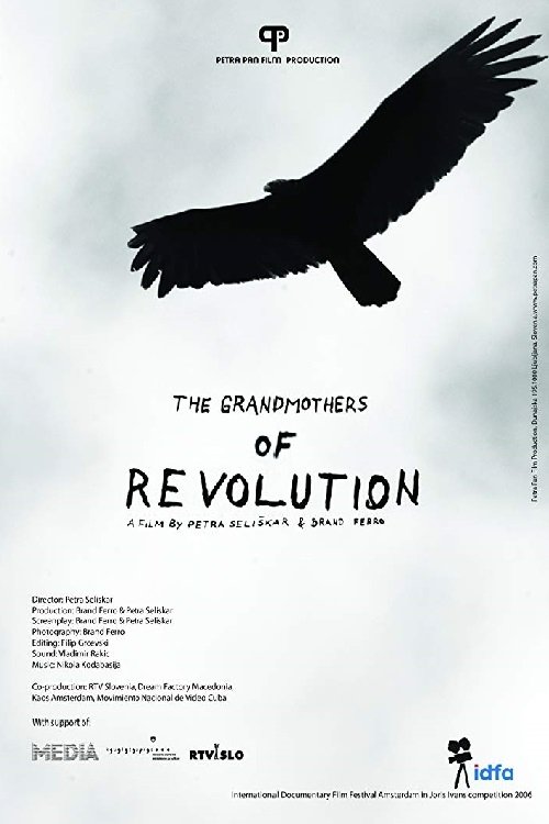 The Grandmothers of the Revolution poster