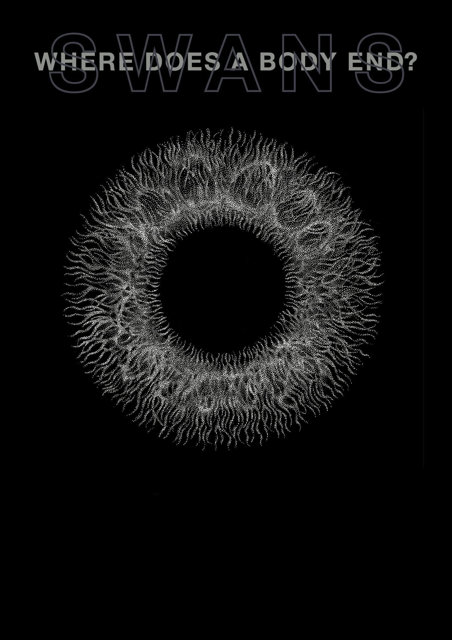 Swans: Where Does a Body End? poster