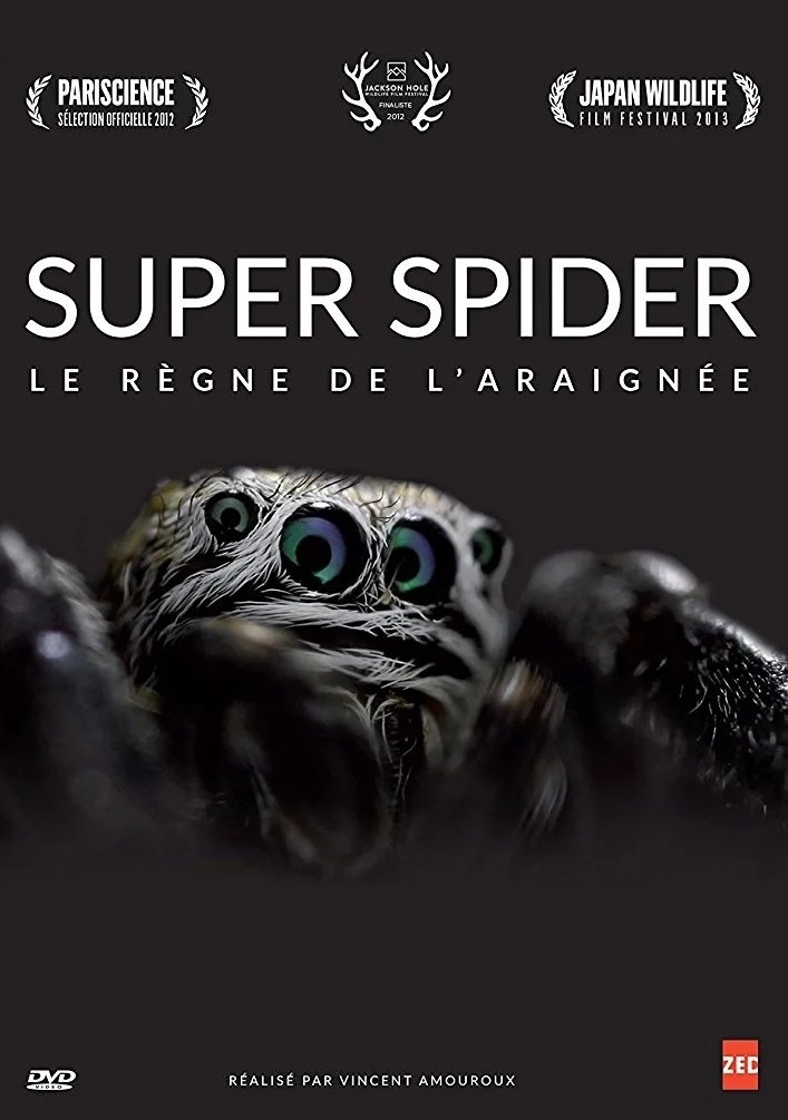 Super Spider poster