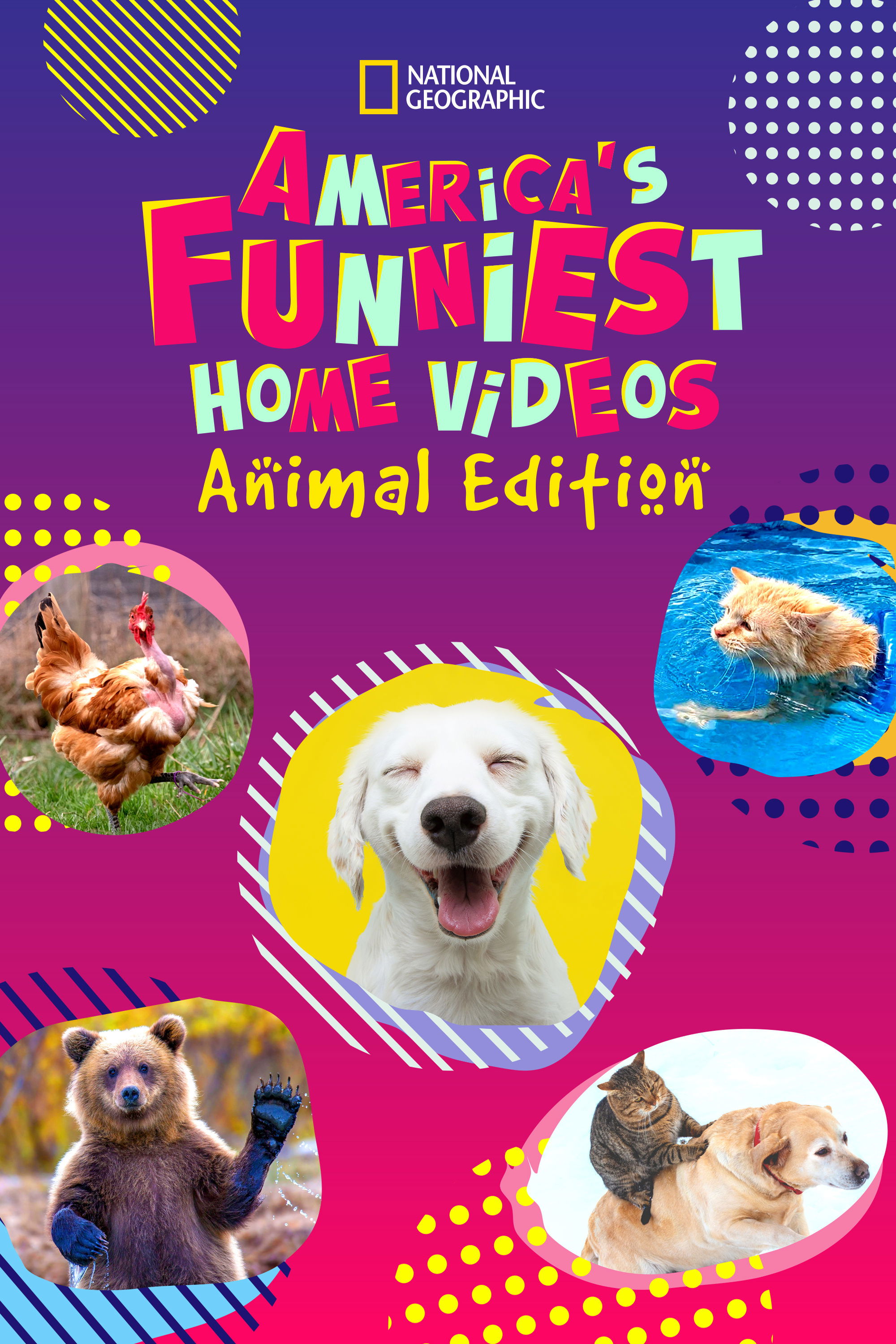 America's Funniest Home Videos: Animal Edition poster