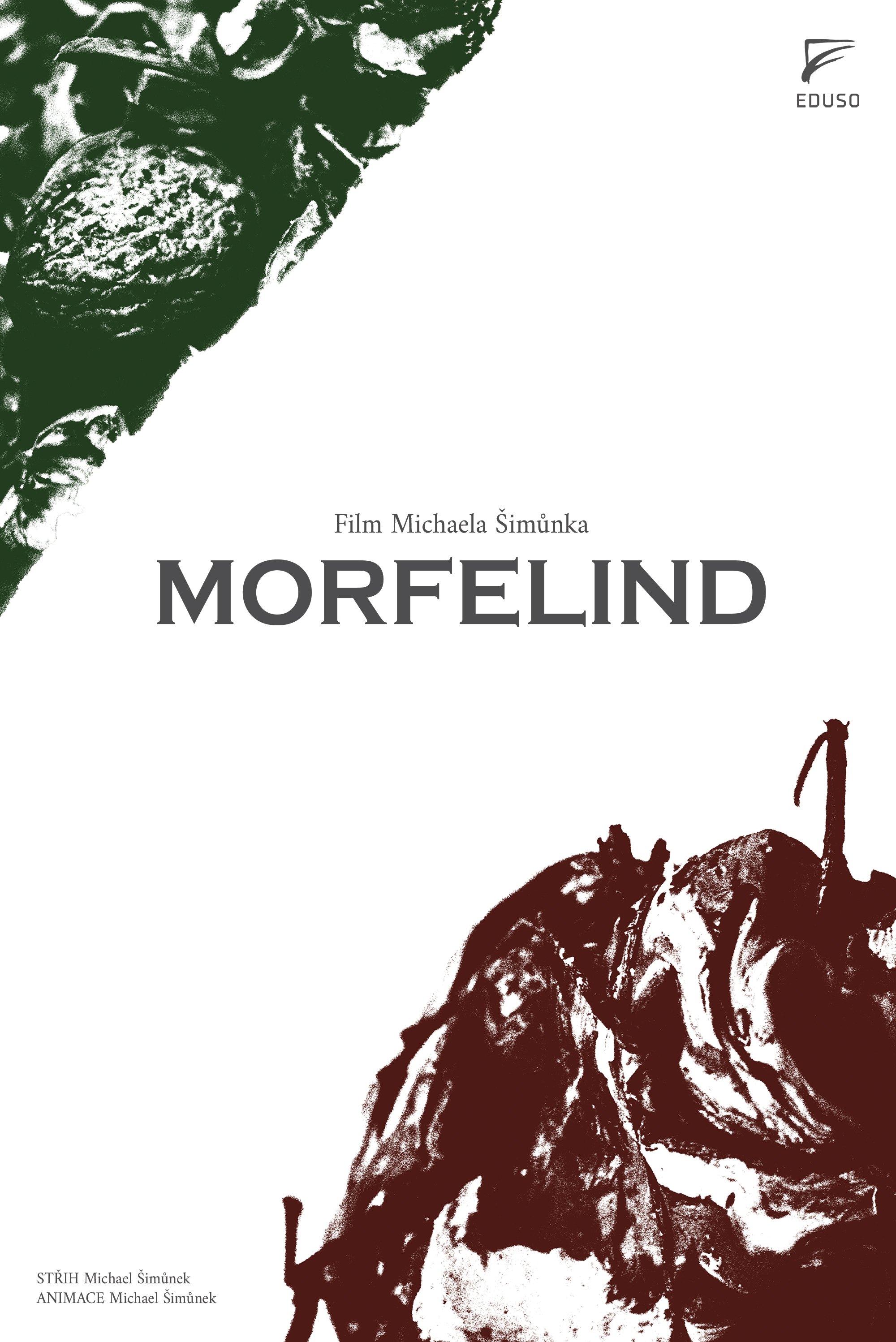MORFELIND poster