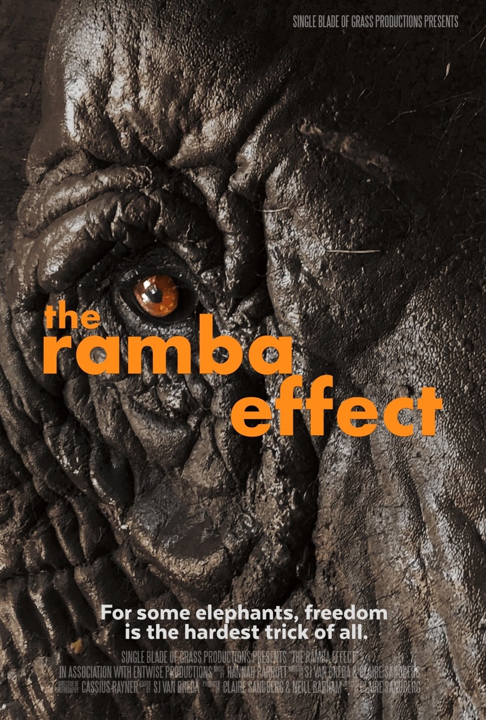 The Ramba Effect poster