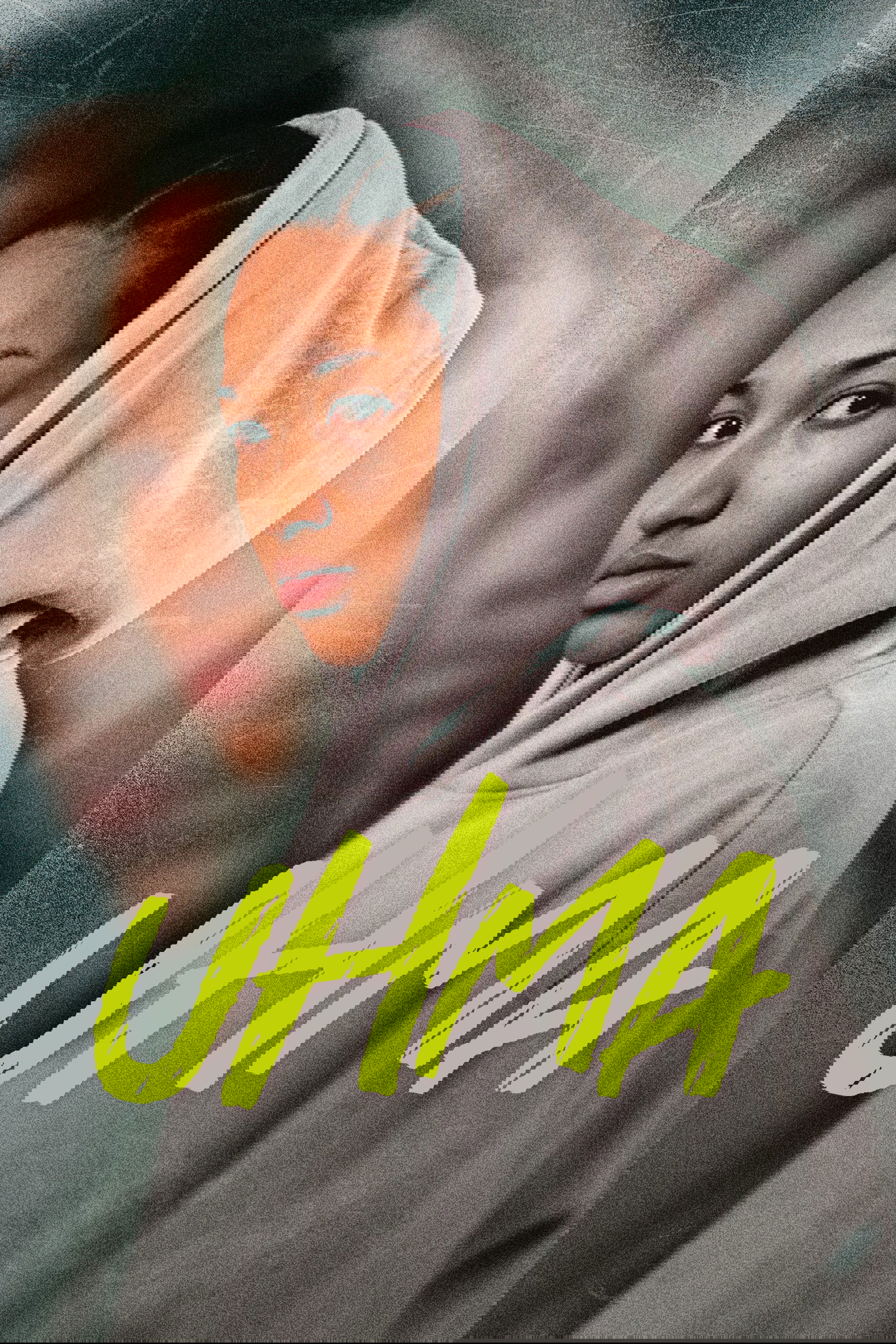 In Custody poster