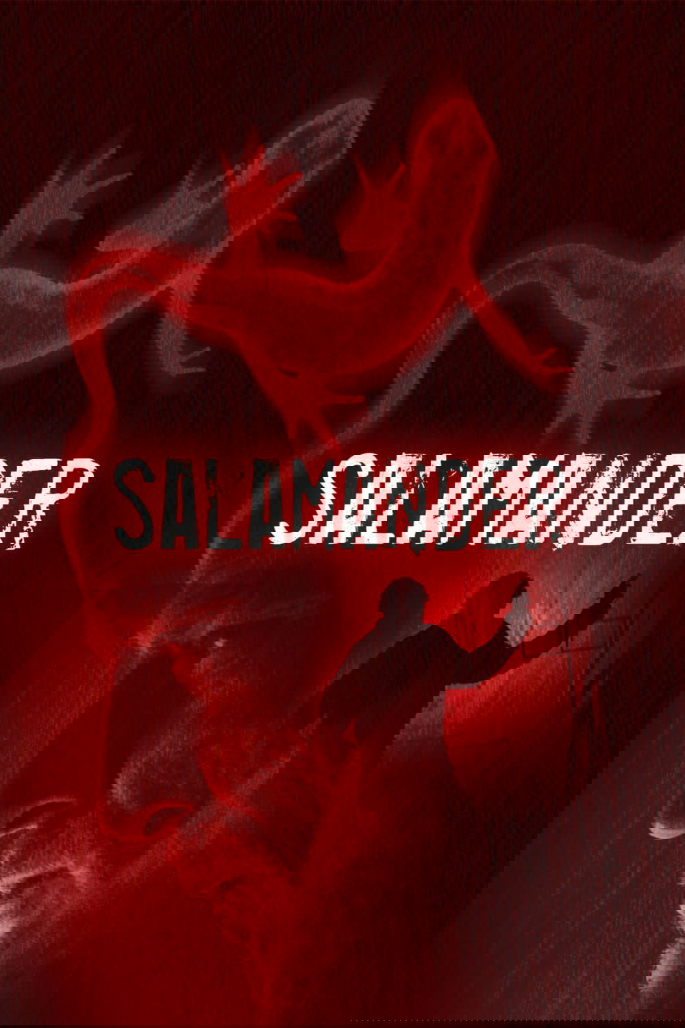 Salamander poster