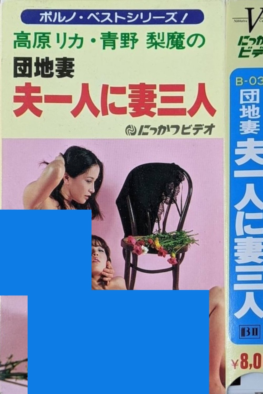 Apartment Wife: One Husband, Three Wives poster