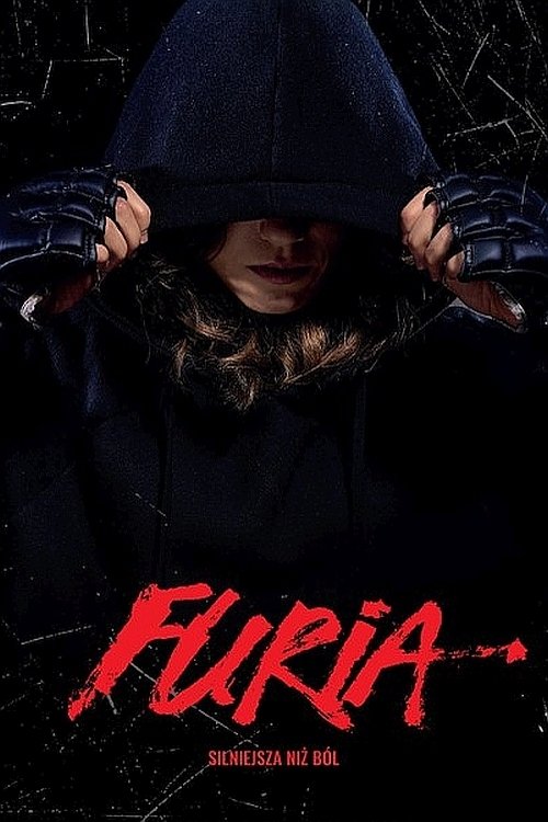 Fury poster