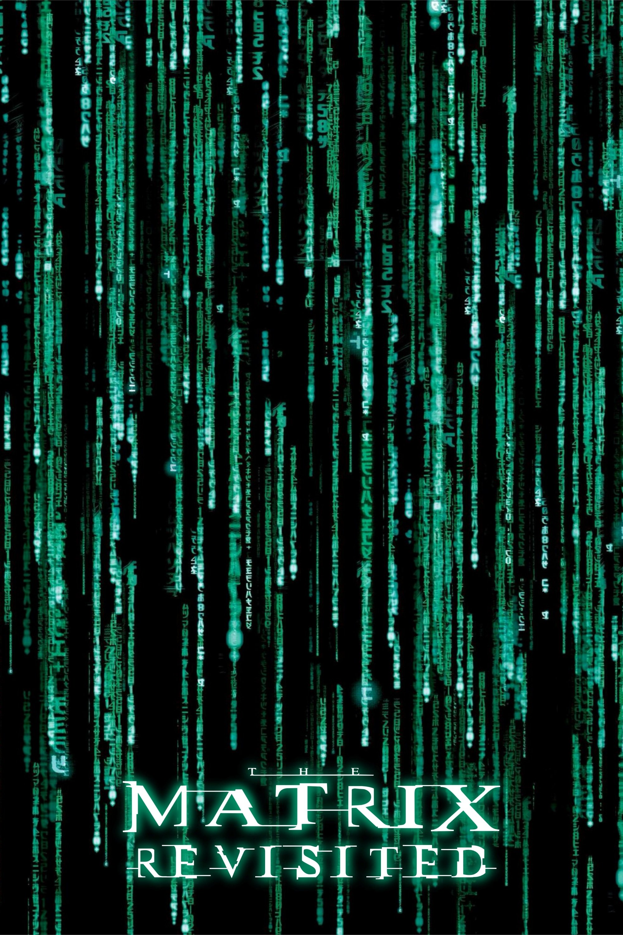 The Matrix Revisited poster