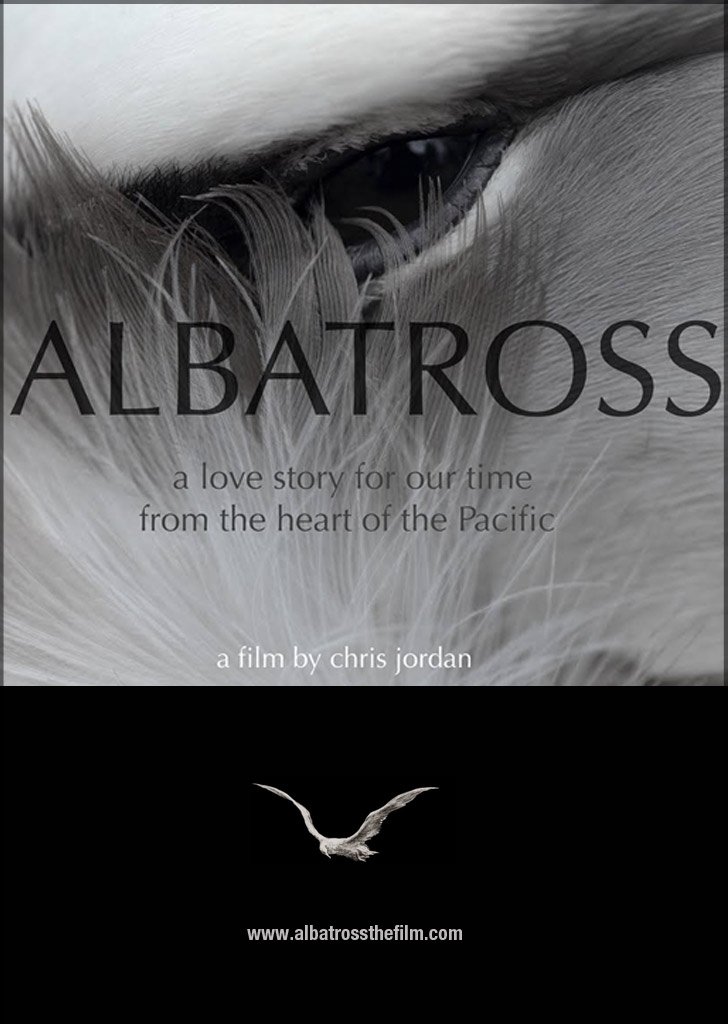 Albatross poster