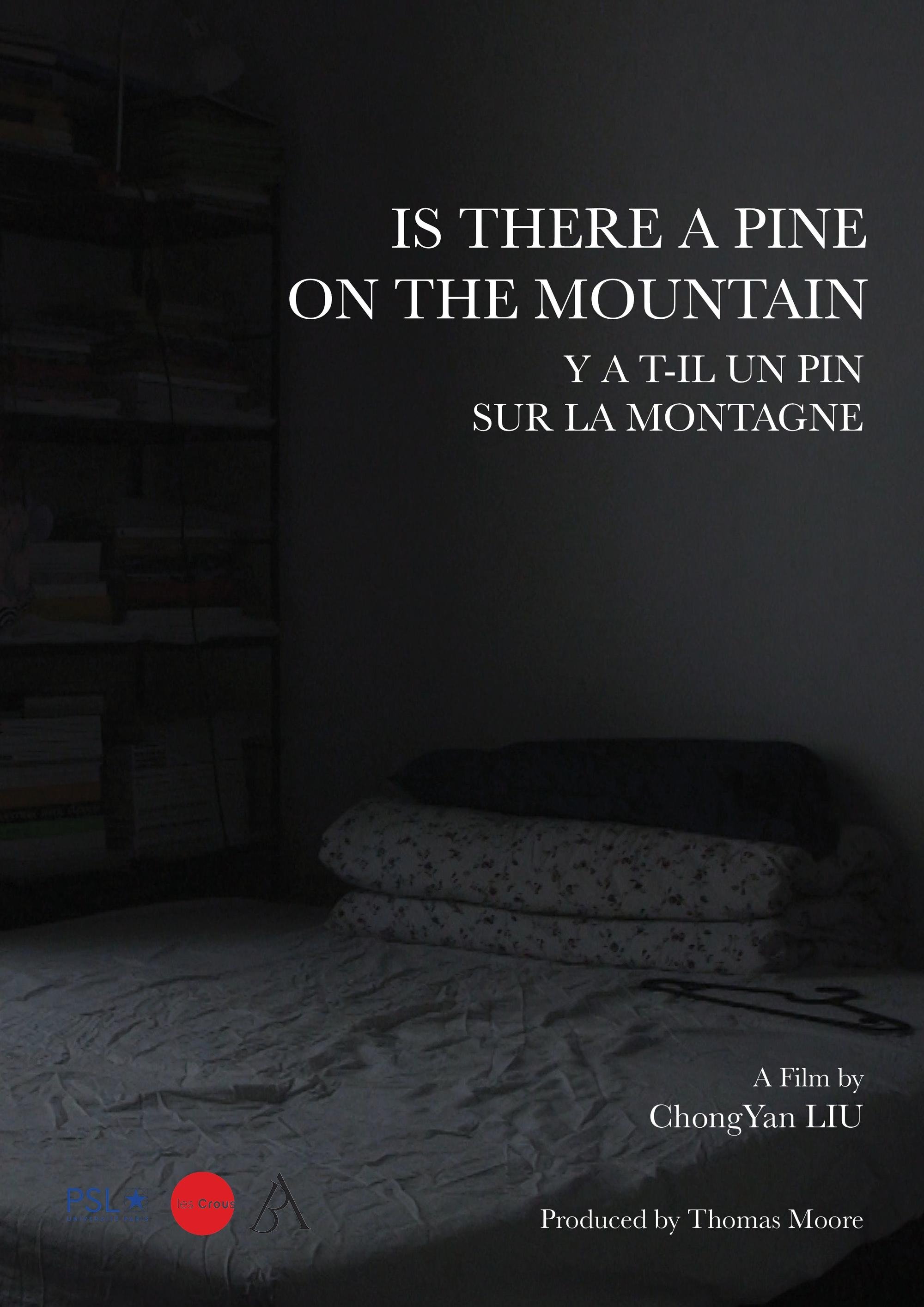 Is There a Pine on the Mountain poster