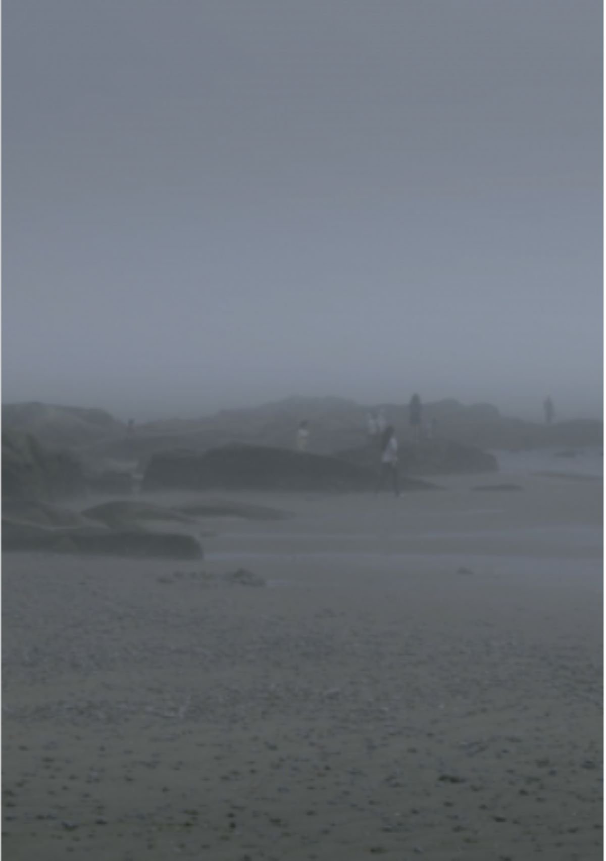 The Fog Has Covered The Moment Again poster