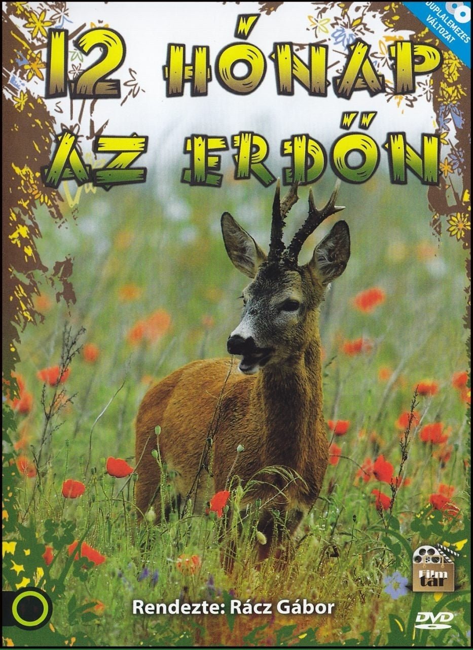 12 hónap az erdőn poster