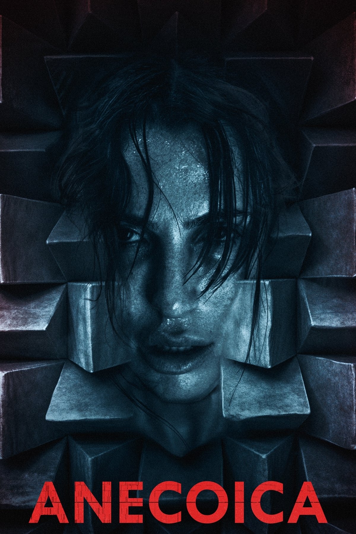 Anecoica poster