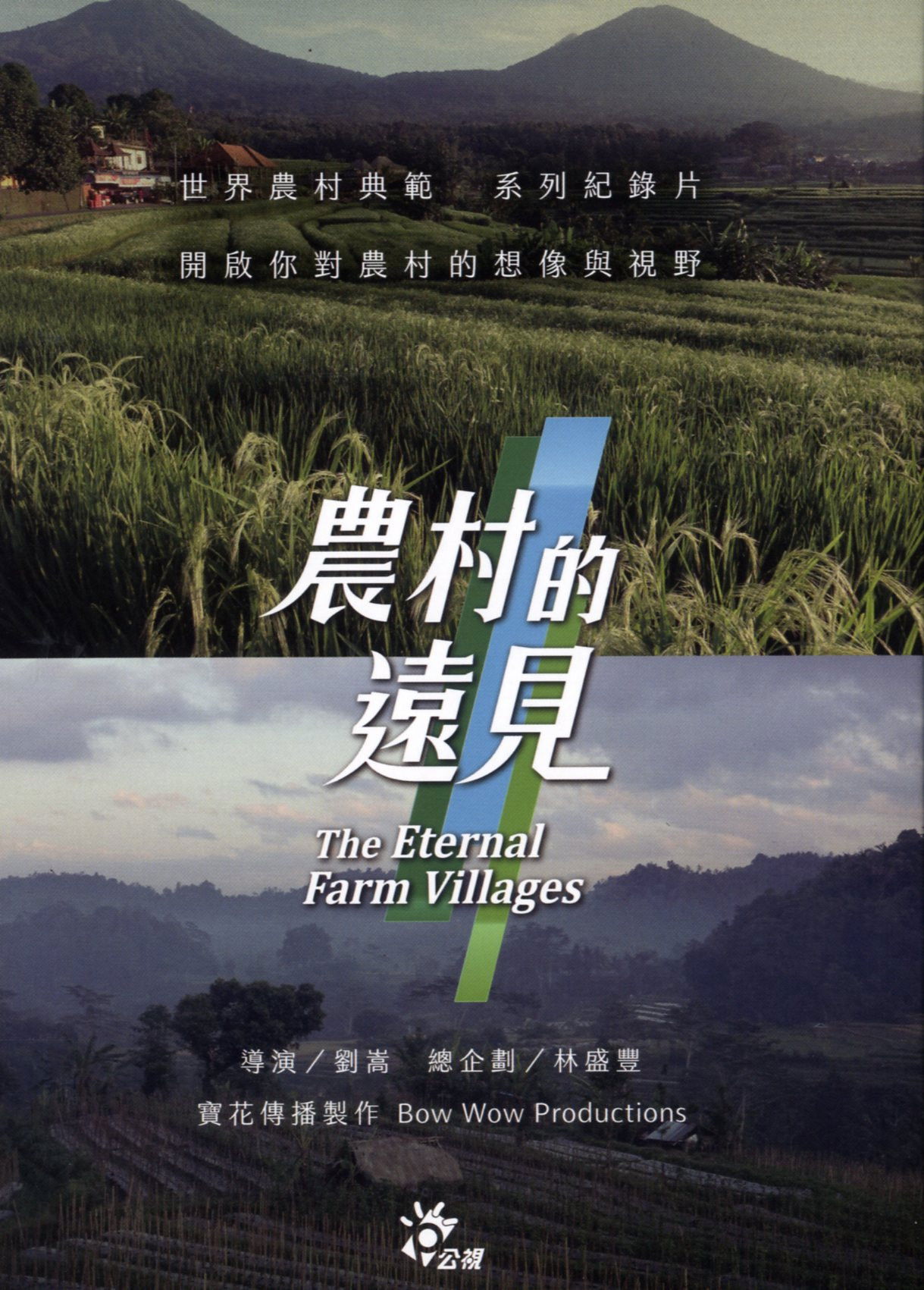 农村的远见 poster