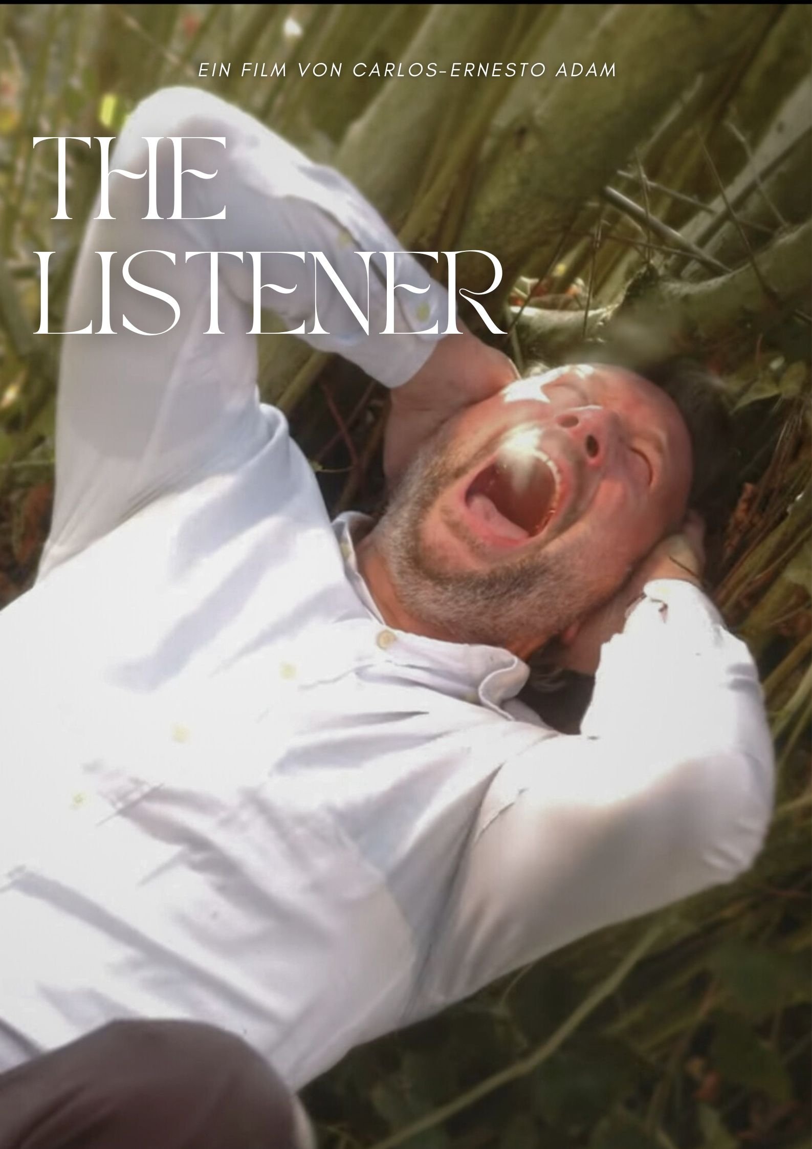 The Listener poster