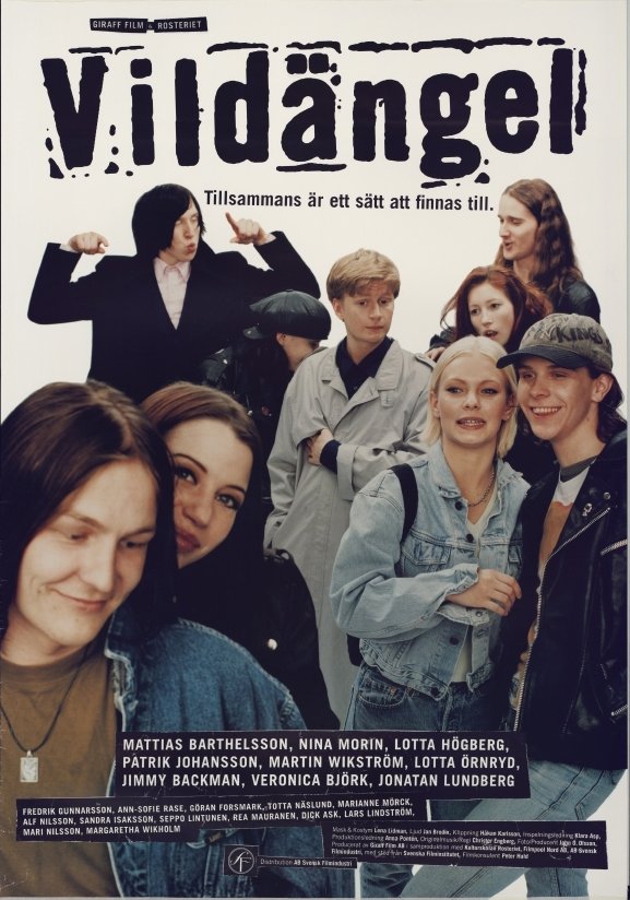 Vildängel poster