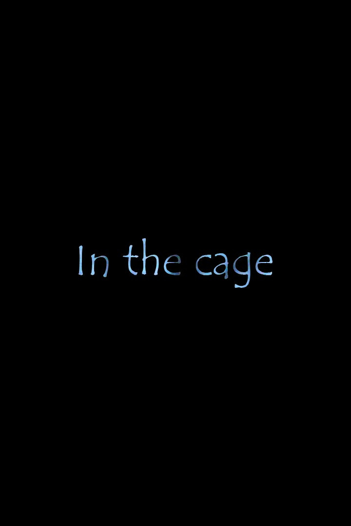 In The Cage poster