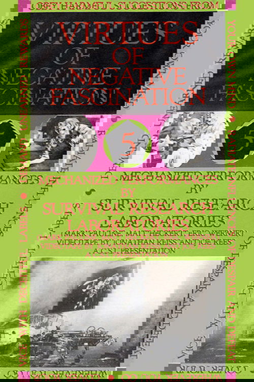 Virtues Of Negative Fascination poster