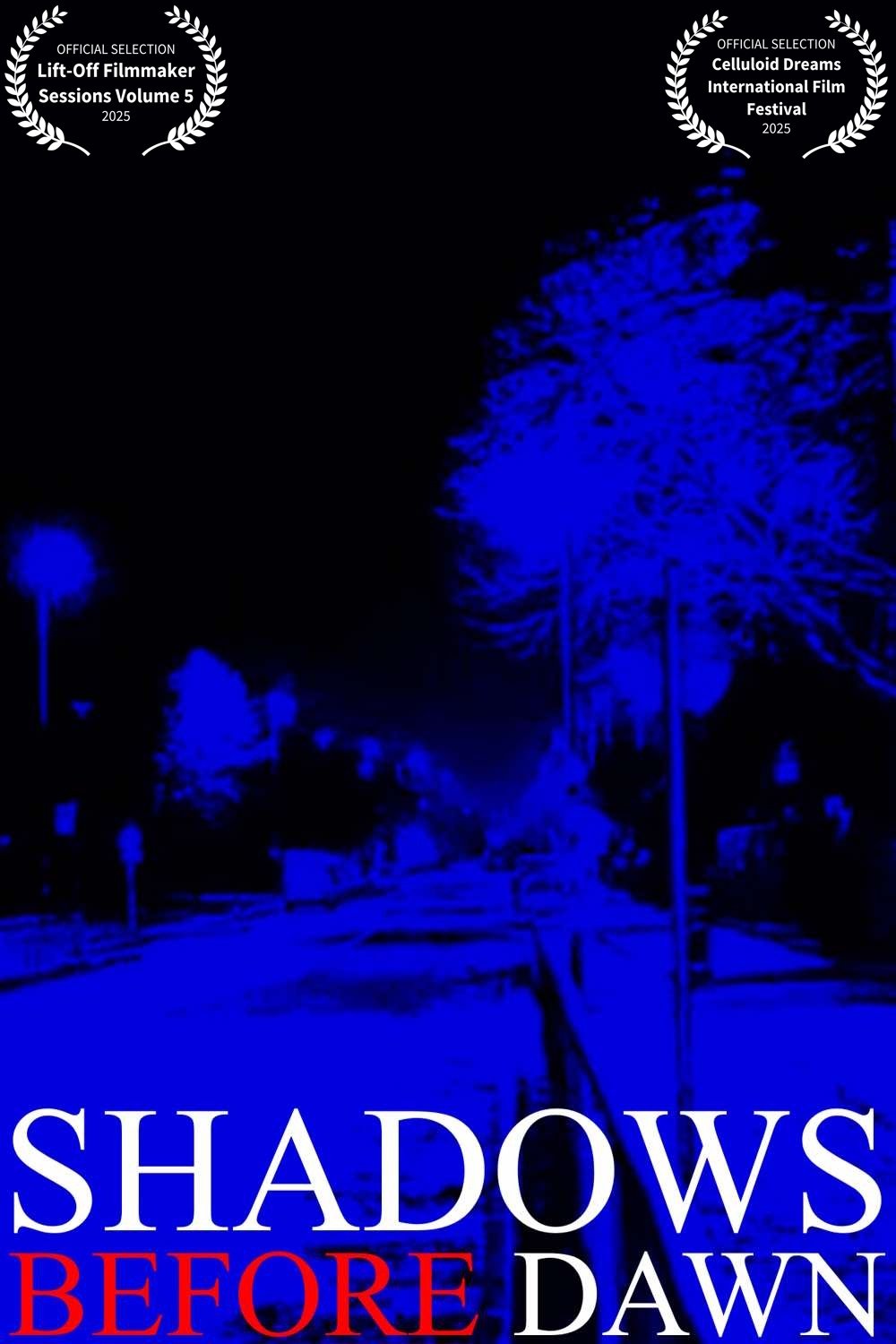 Shadows Before Dawn poster