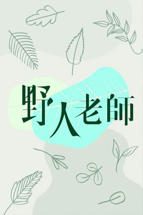 Into the Wild poster