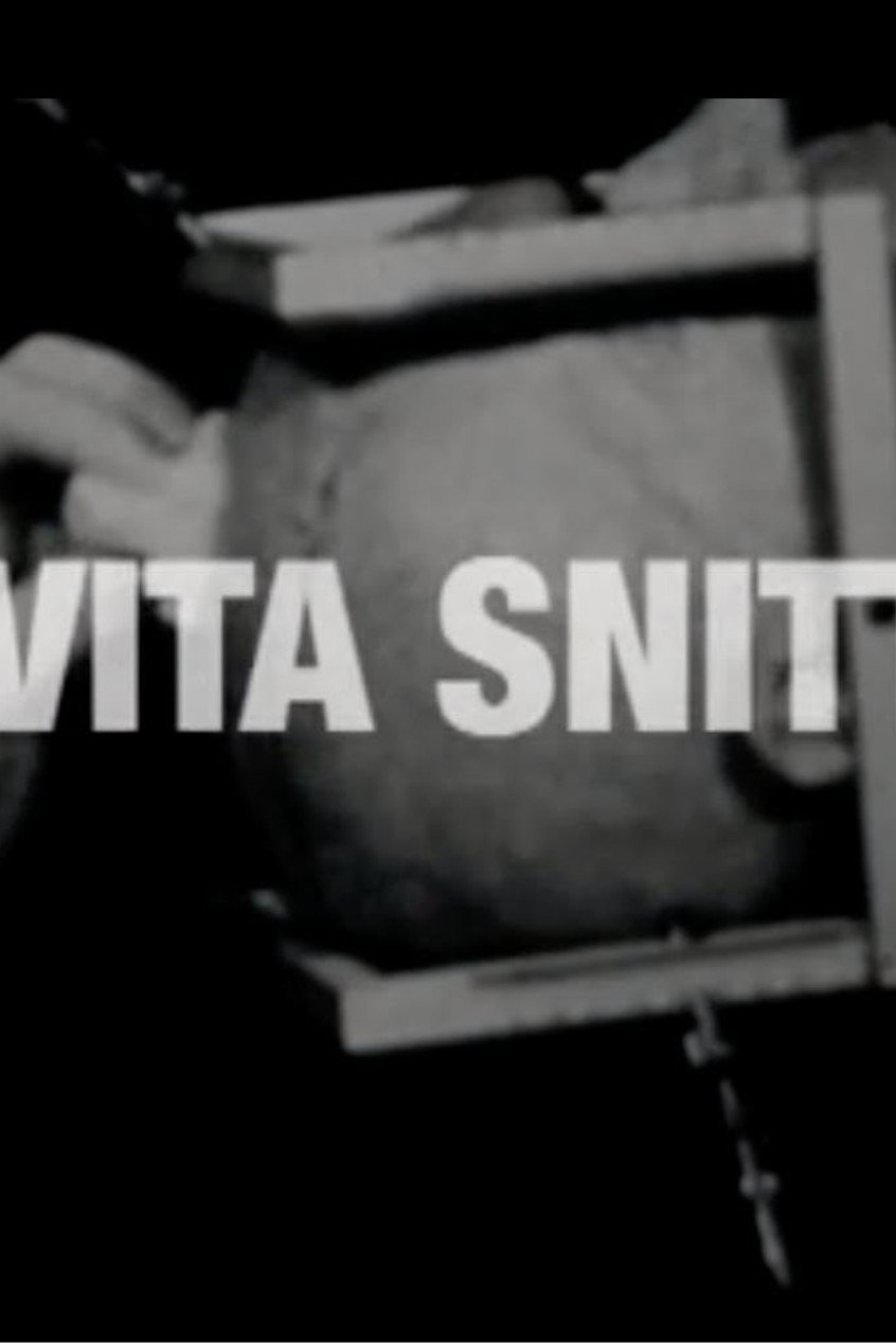 Det Vita Snittet poster
